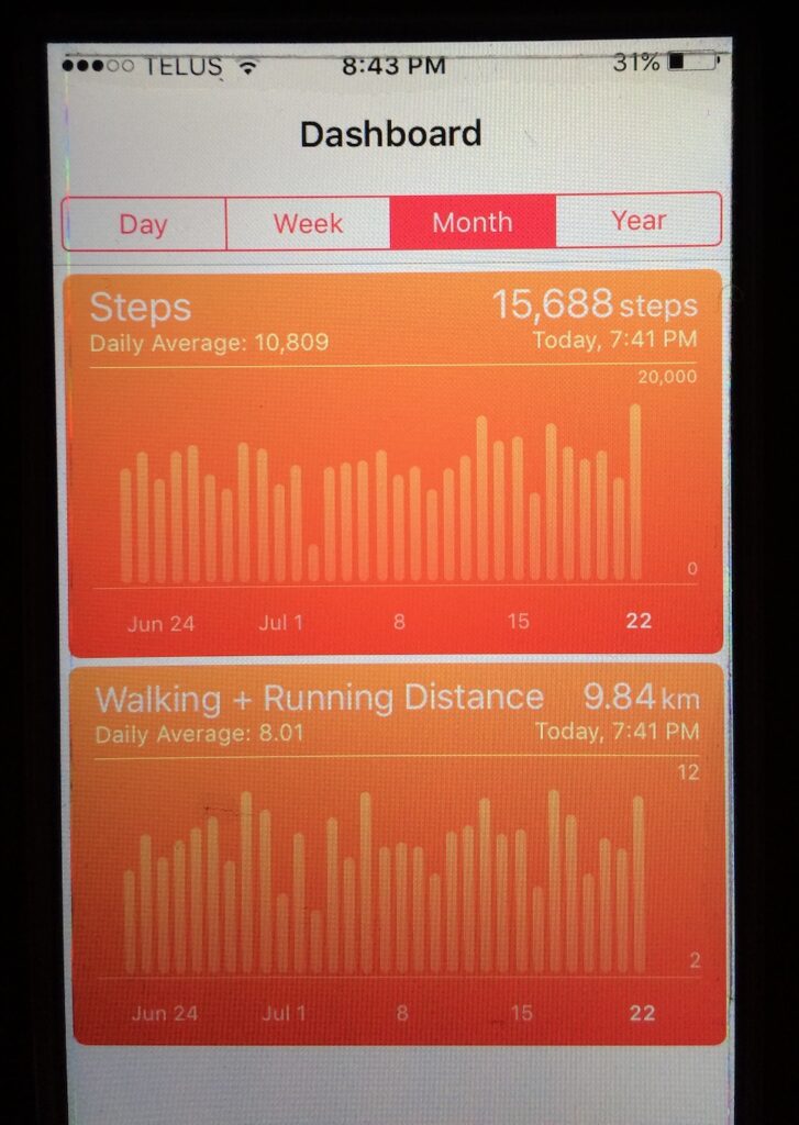 Daily average 10k steps / 8kms